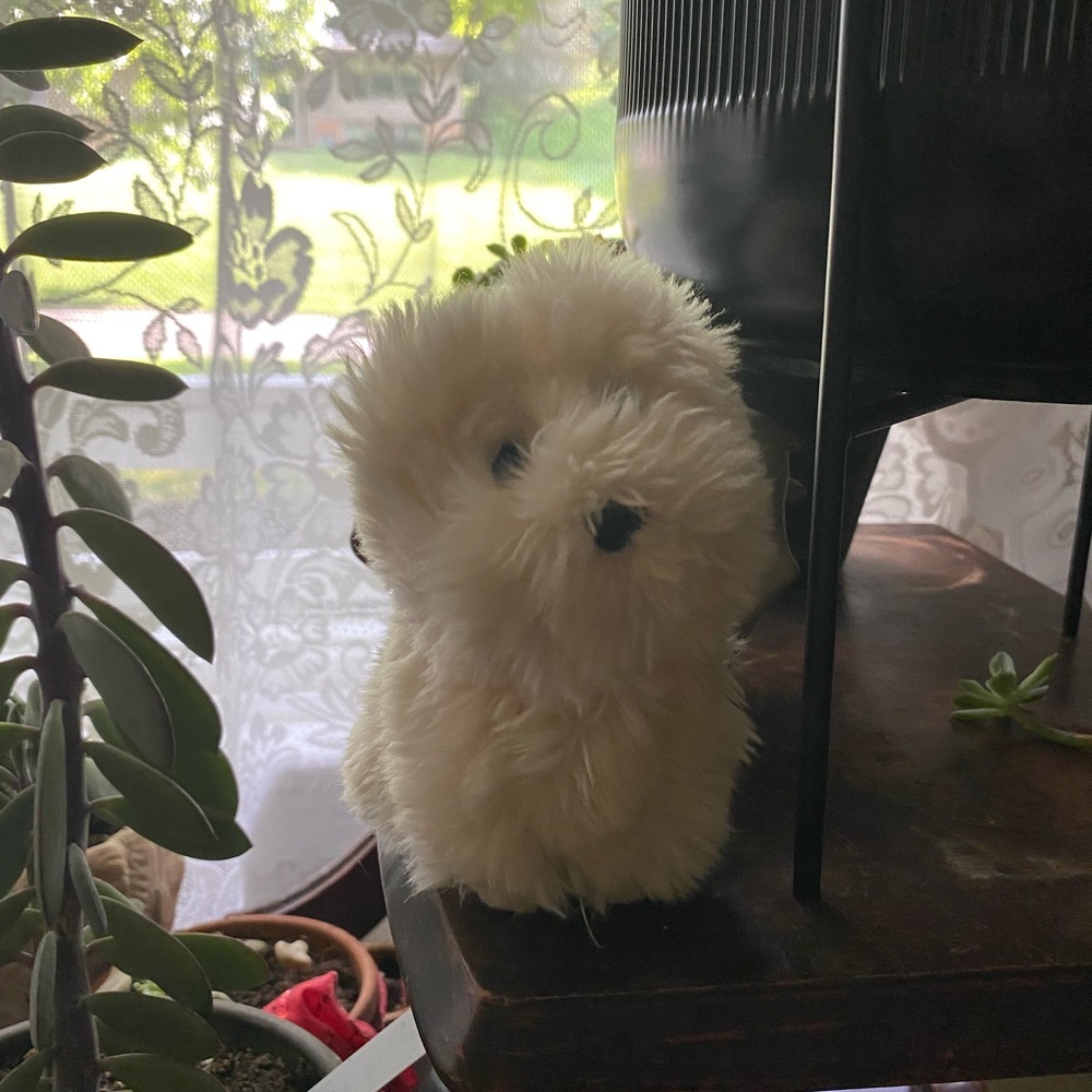 Coconut American Girl Doll Dog